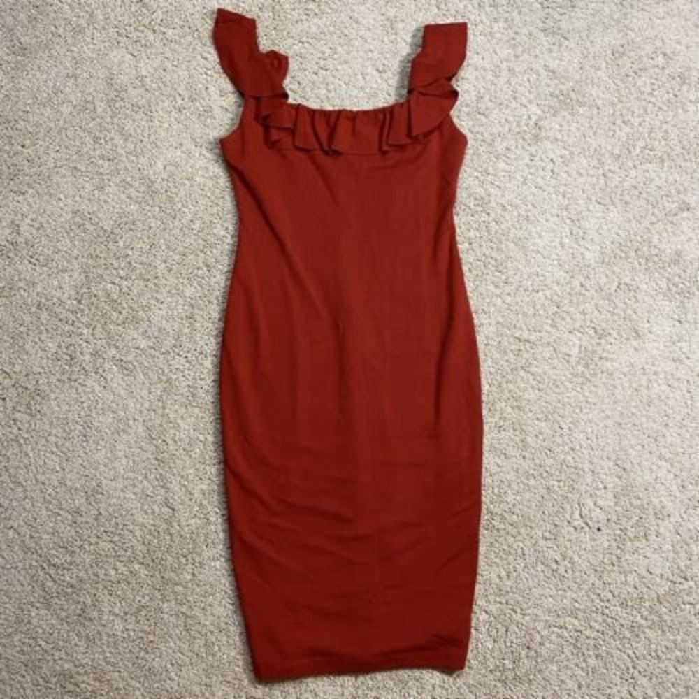 NWT Bailey44 Anthropologie  Wild Swan Red Ruffle Petite Dress Womens Size MP